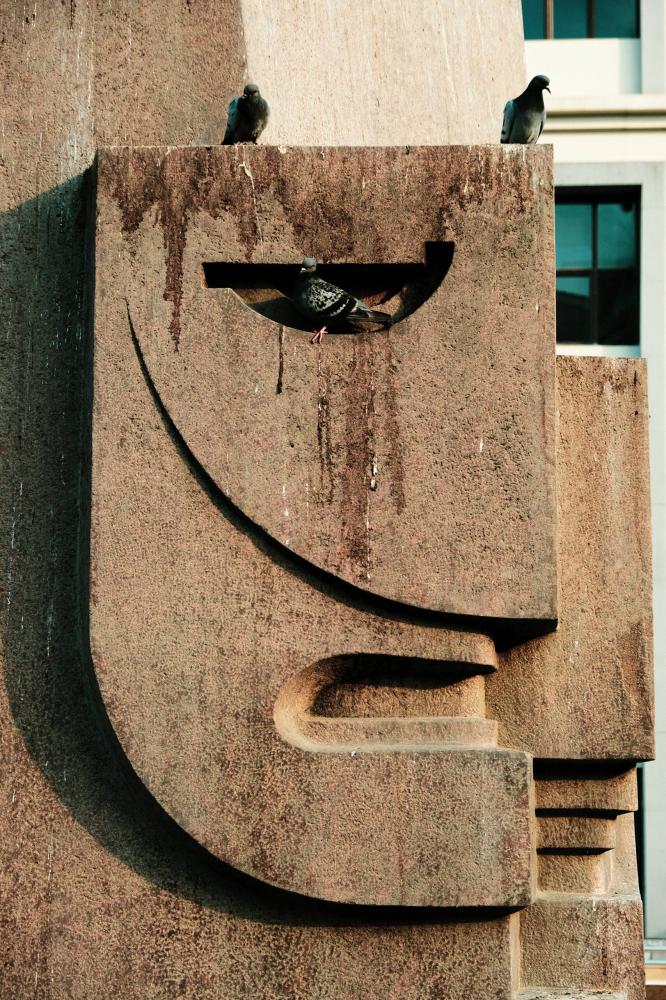 Nos Méthodes de dépigeonnage