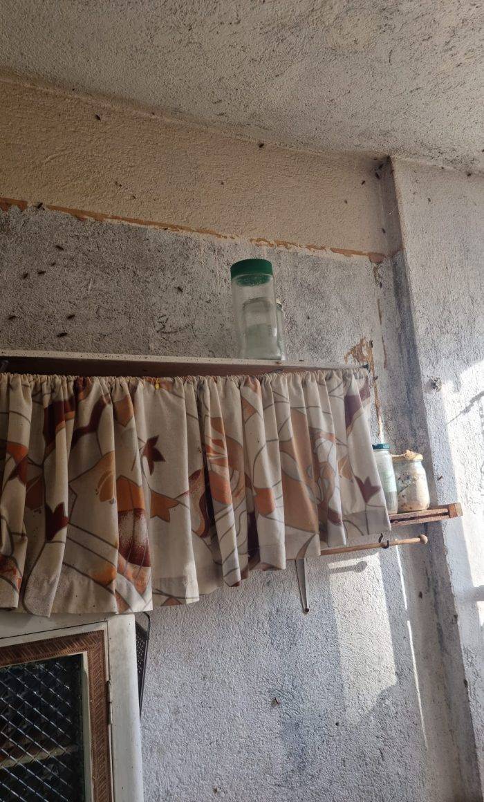 Traitement Cafards à Marseille - Saint-Loup 1