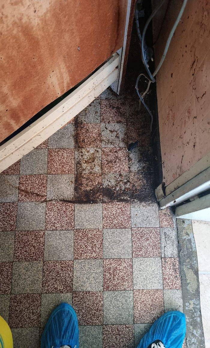 Traitement Cafards à Marseille - Saint-Loup 6
