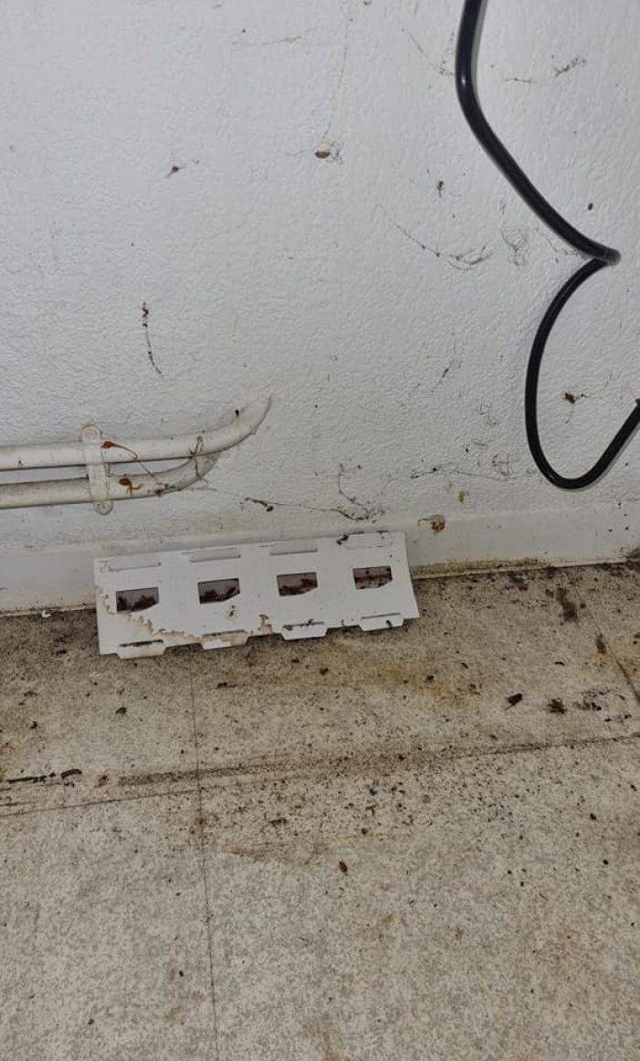 Traitement Cafards à Marseille - Rue de Crimée 1