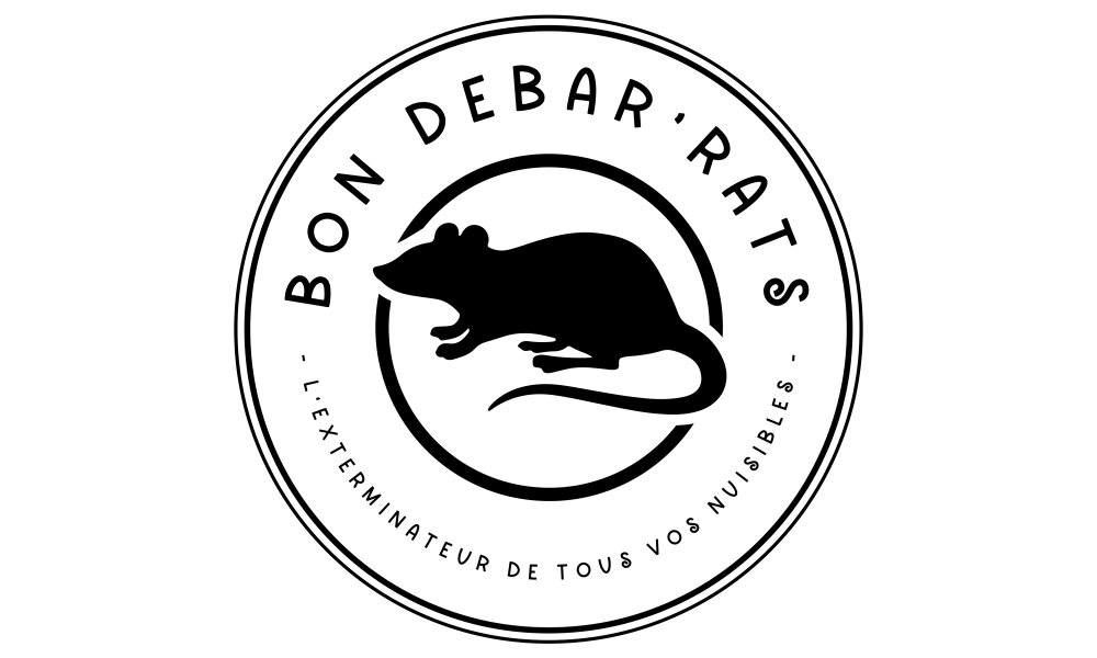 customcolor_logo_transparent_background